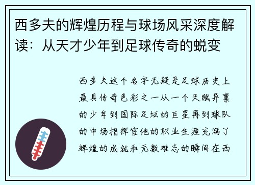 西多夫的辉煌历程与球场风采深度解读：从天才少年到足球传奇的蜕变