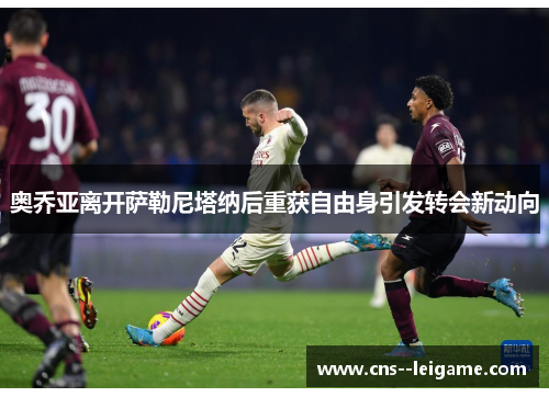 奥乔亚离开萨勒尼塔纳后重获自由身引发转会新动向